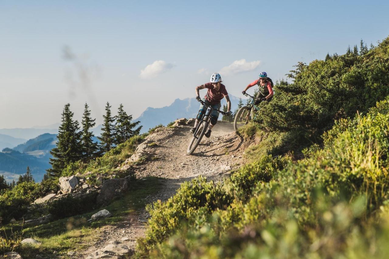 Alpenparks Apartment & Ferienresort Rehrenberg フィーホーフェン エクステリア 写真